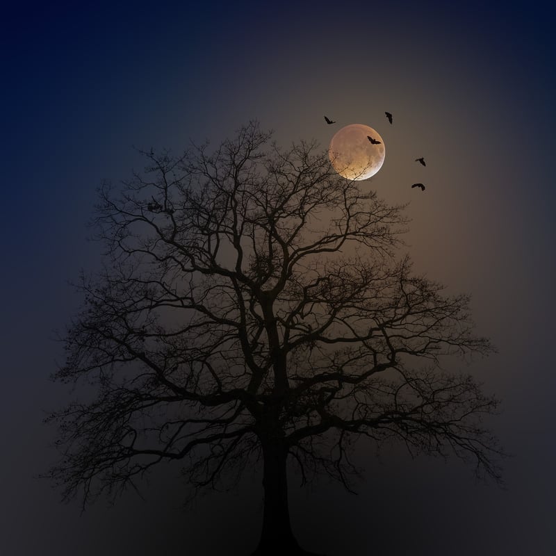 Mystical Lighting