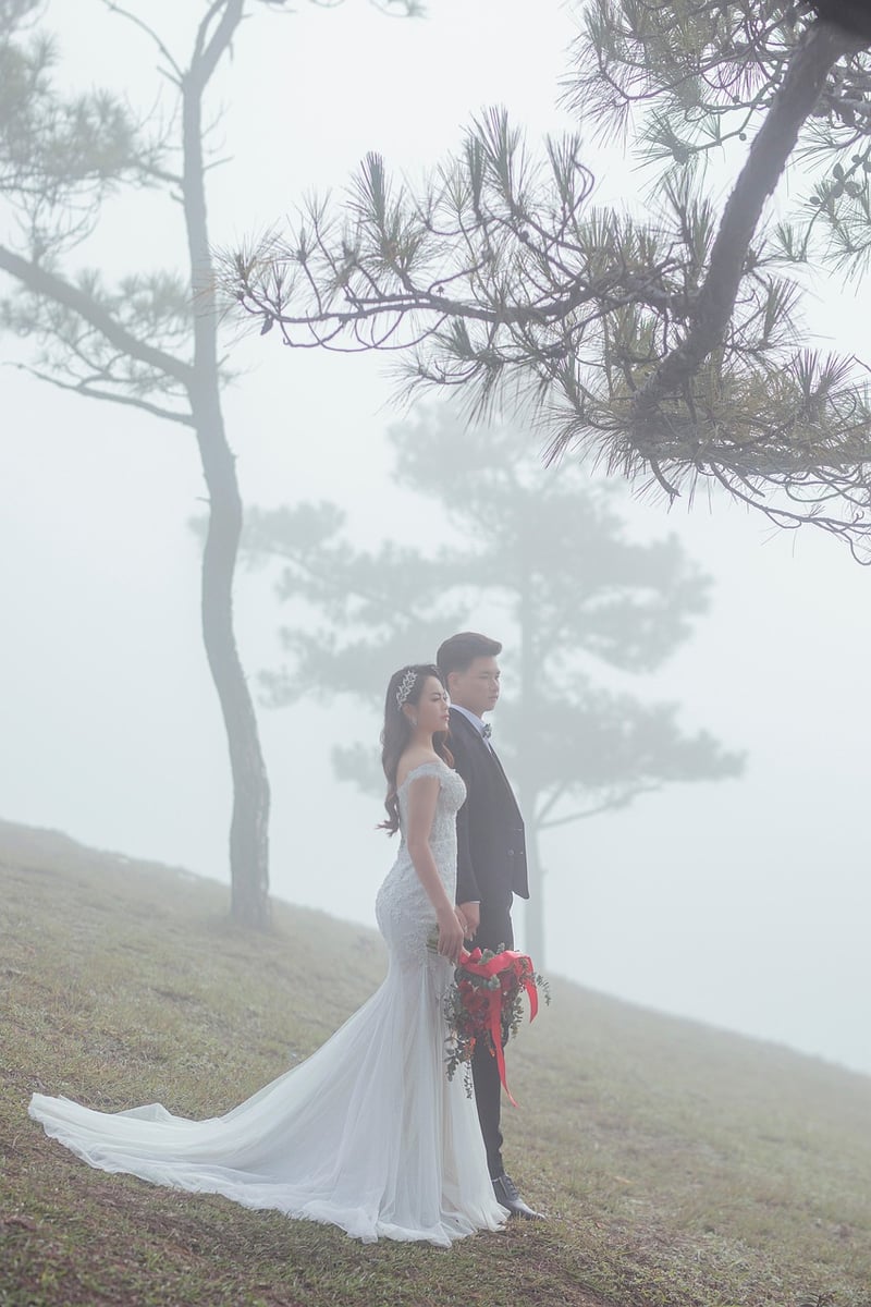 Enchanted Woods Venue